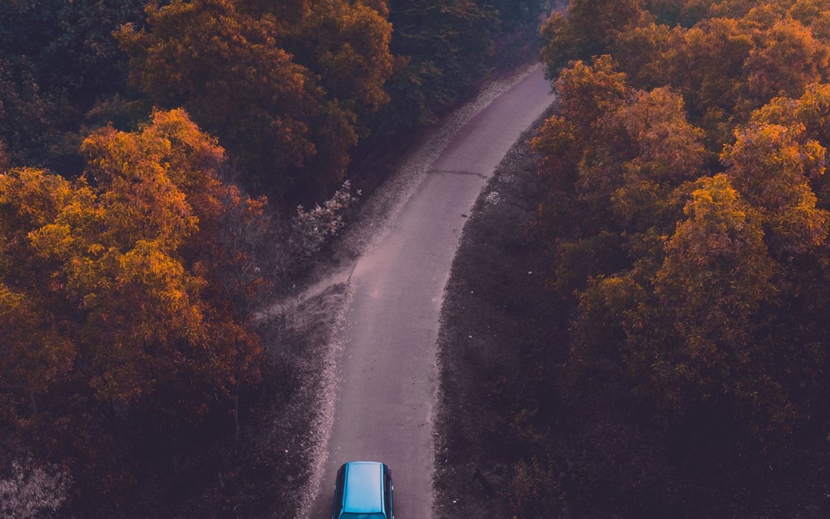birds eye view of a single car driving on a forest road