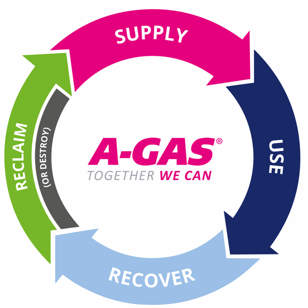 Multi-coloured circular graphic on a white background 