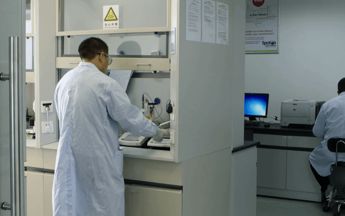Wide angle shot of laboratory technicians at work