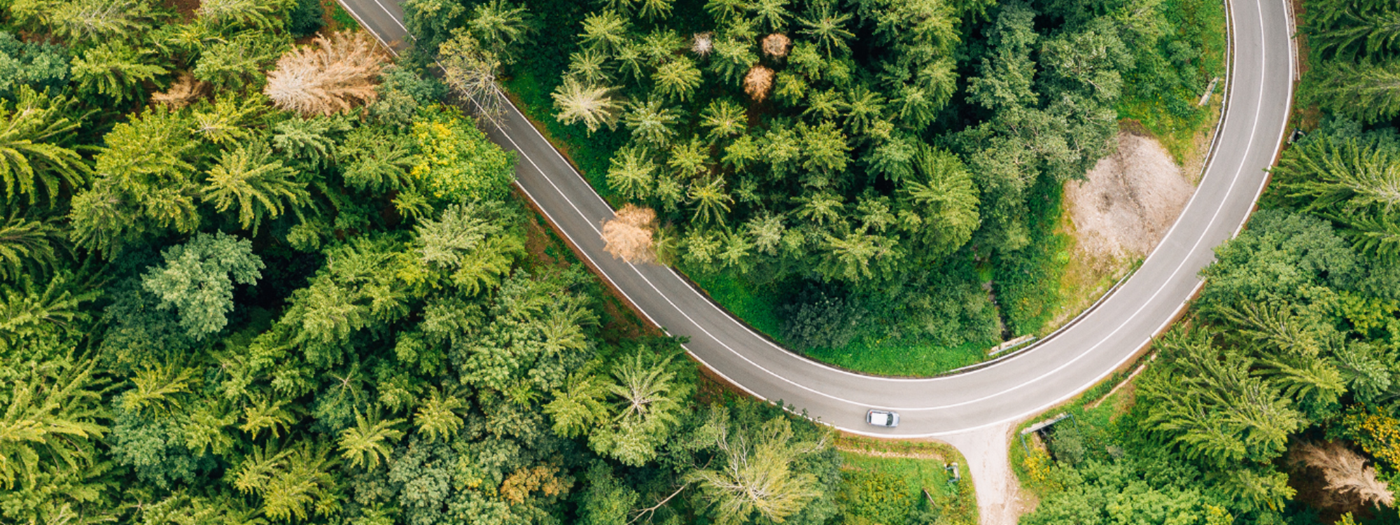 An aerial photo of an empty, curved road sweeping through a lush green forest.